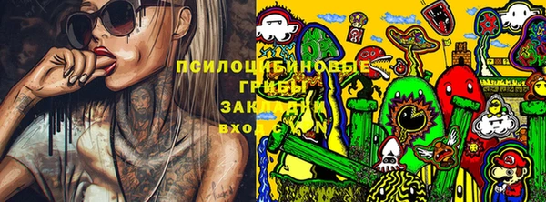 спайс Алексин